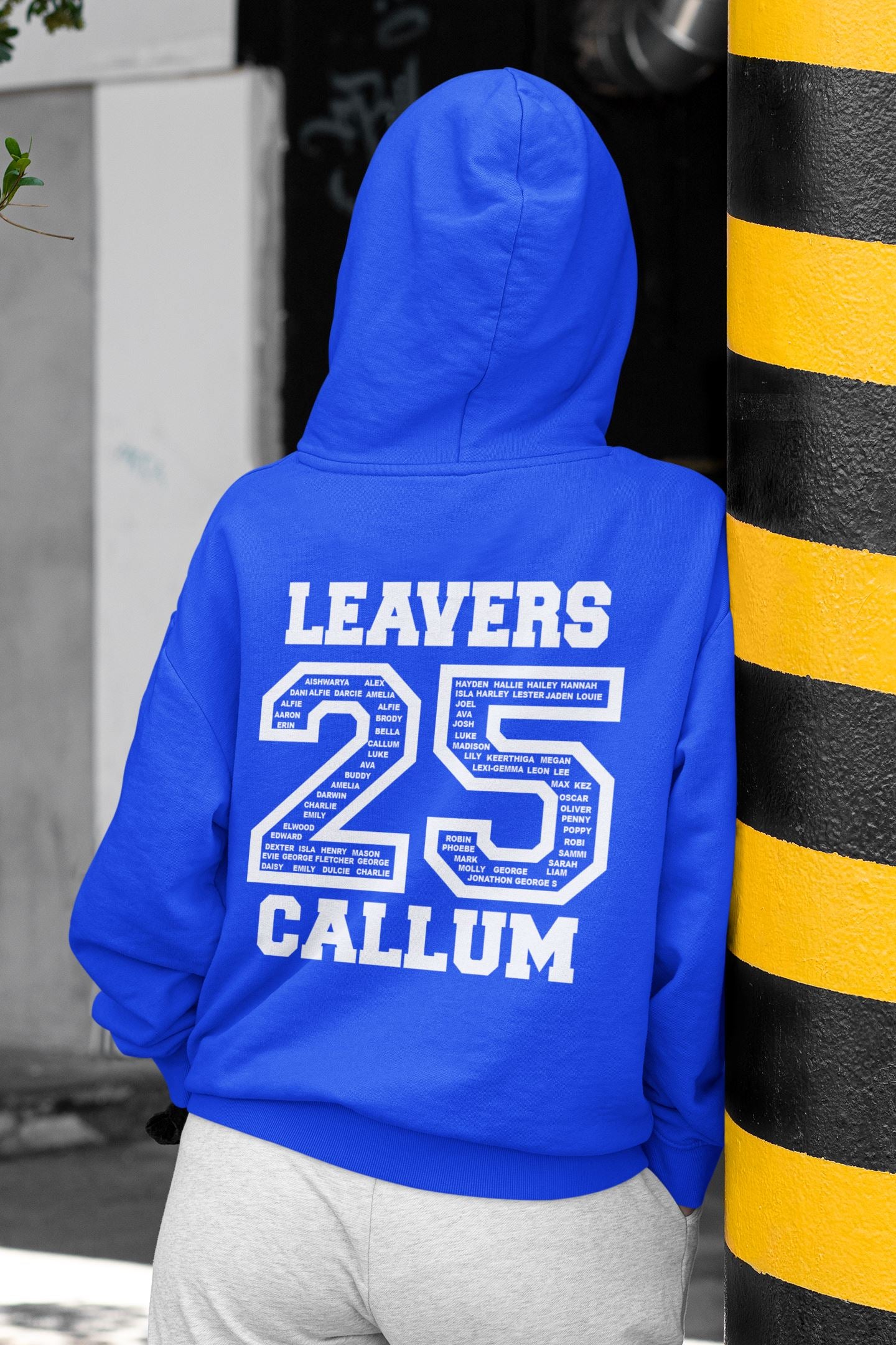 Personalised 2025 School College Leavers Hoody Hoodies Print My Tops 7-8 Royal Blue