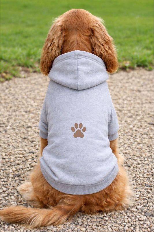 Personalised Dog Hoodie Jumper – Custom Printed Pet Top Pet Accessories Print My Tops Grey XS