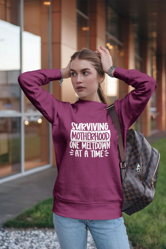 Surviving Motherhood one Meltdown at a time Sweatshirt