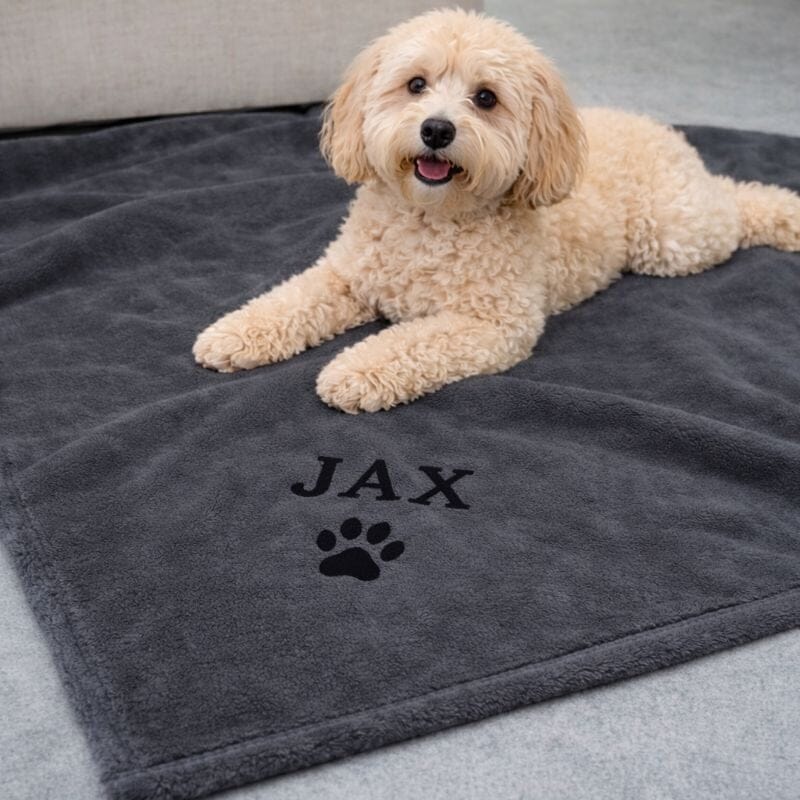 Personalised Dog Blanket - Teddy Fleece Pet Blanket Pet Accessories Print My Tops 