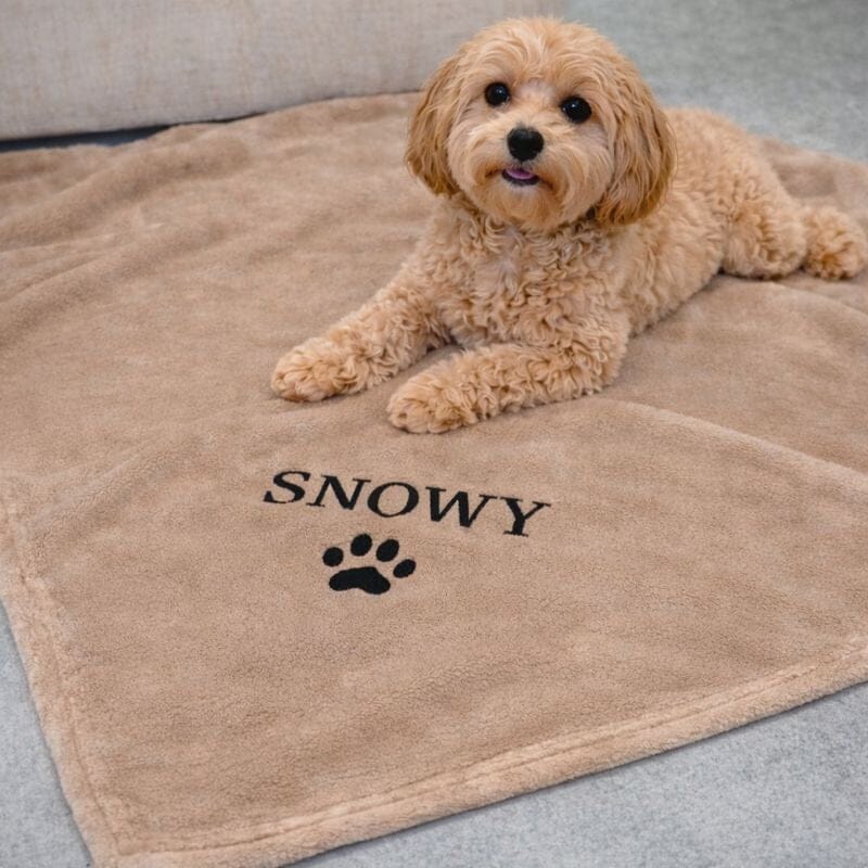 Personalised Dog Blanket - Teddy Fleece Pet Blanket Pet Accessories Print My Tops 