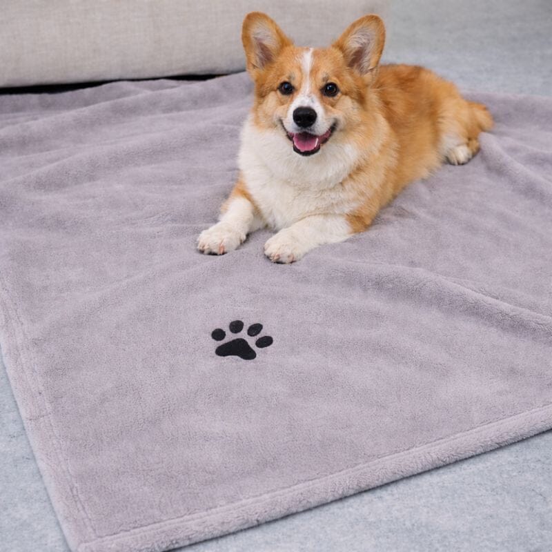 Personalised Dog Blanket - Teddy Fleece Pet Blanket Pet Accessories Print My Tops Light Grey 