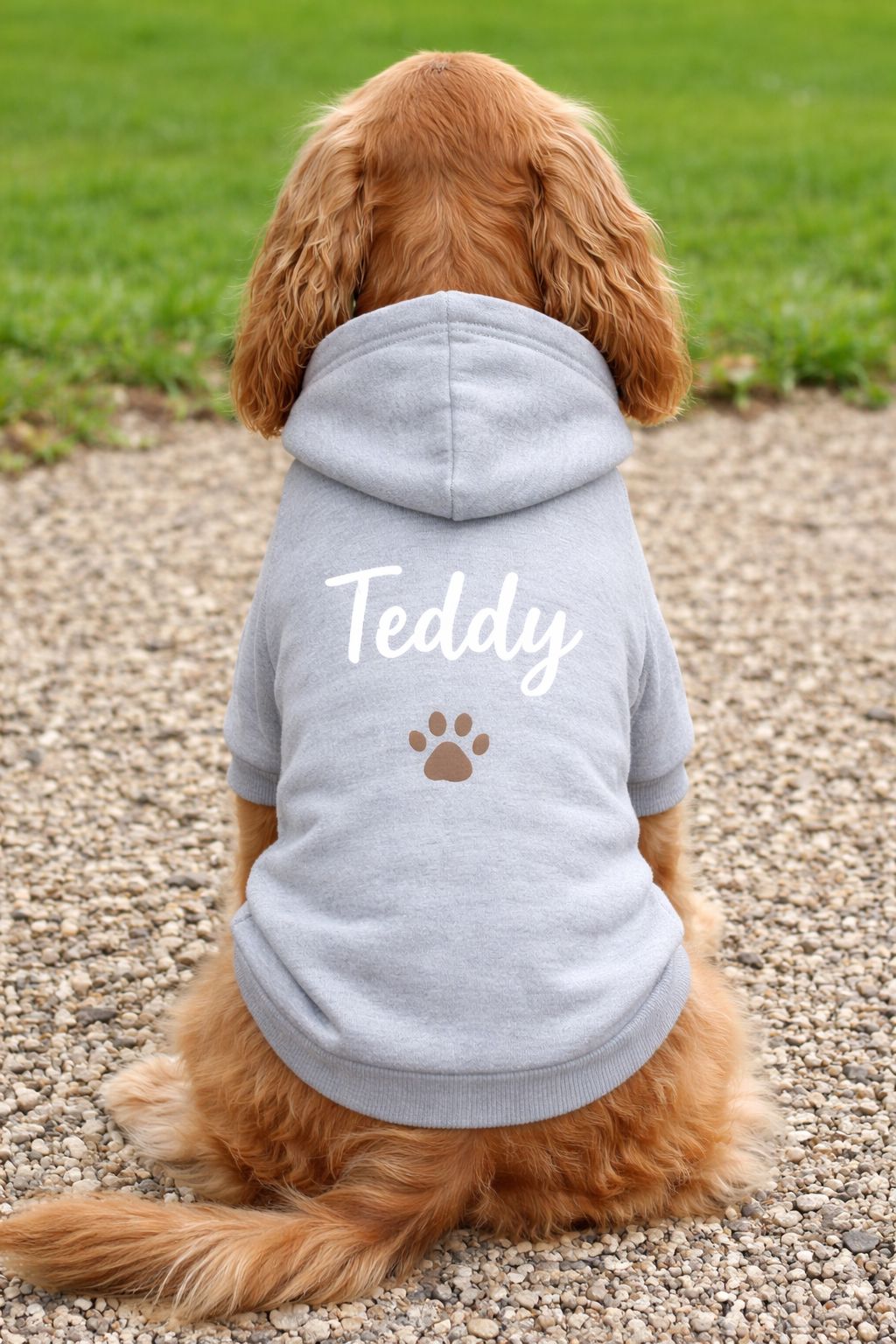 Personalised Dog Hoodie Jumper – Custom Printed Pet Top Pet Accessories Print My Tops 