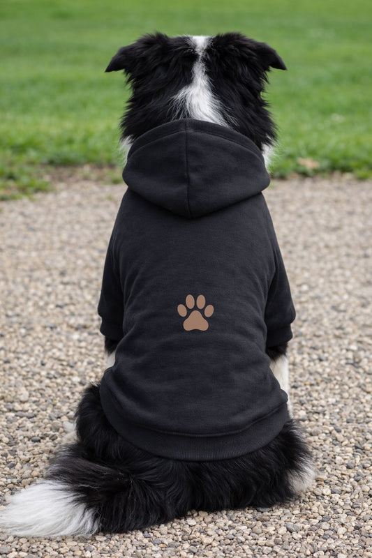 Personalised Dog Hoodie Jumper – Custom Printed Pet Top Pet Accessories Print My Tops Black XS 