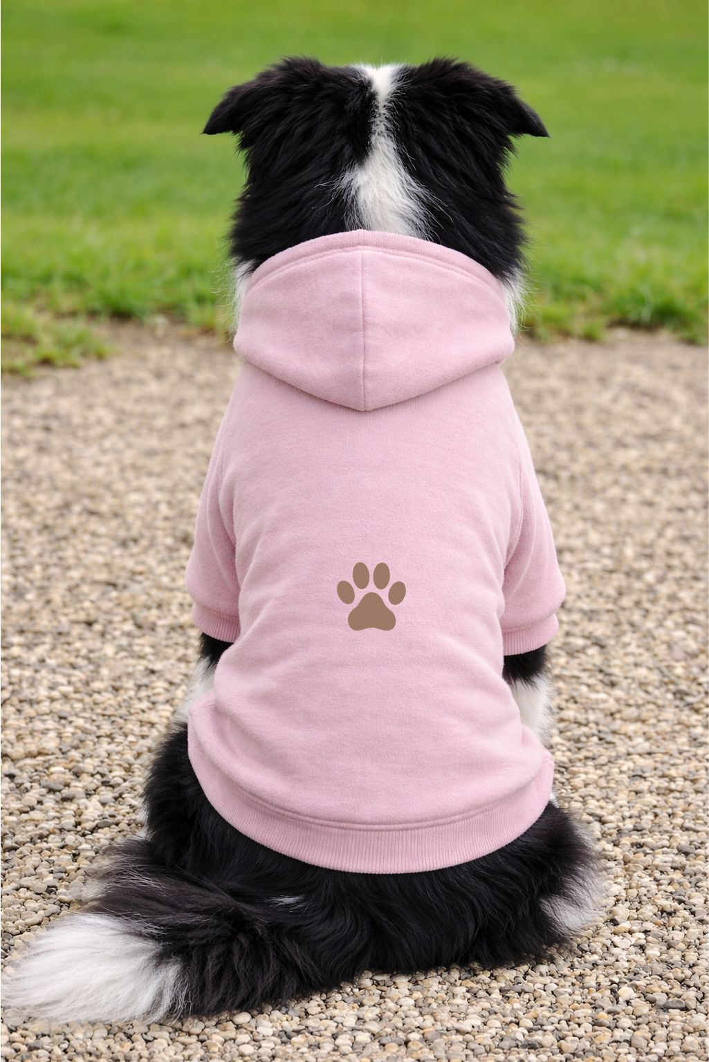 Personalised Dog Hoodie Jumper – Custom Printed Pet Top Pet Accessories Print My Tops Pink XS 